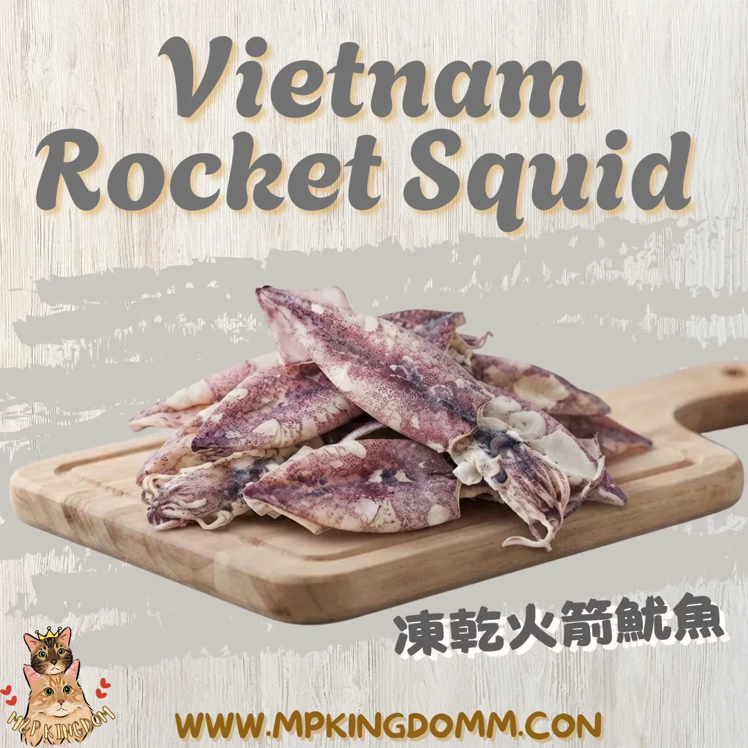 冻乾越南火箭魷鱼🦑