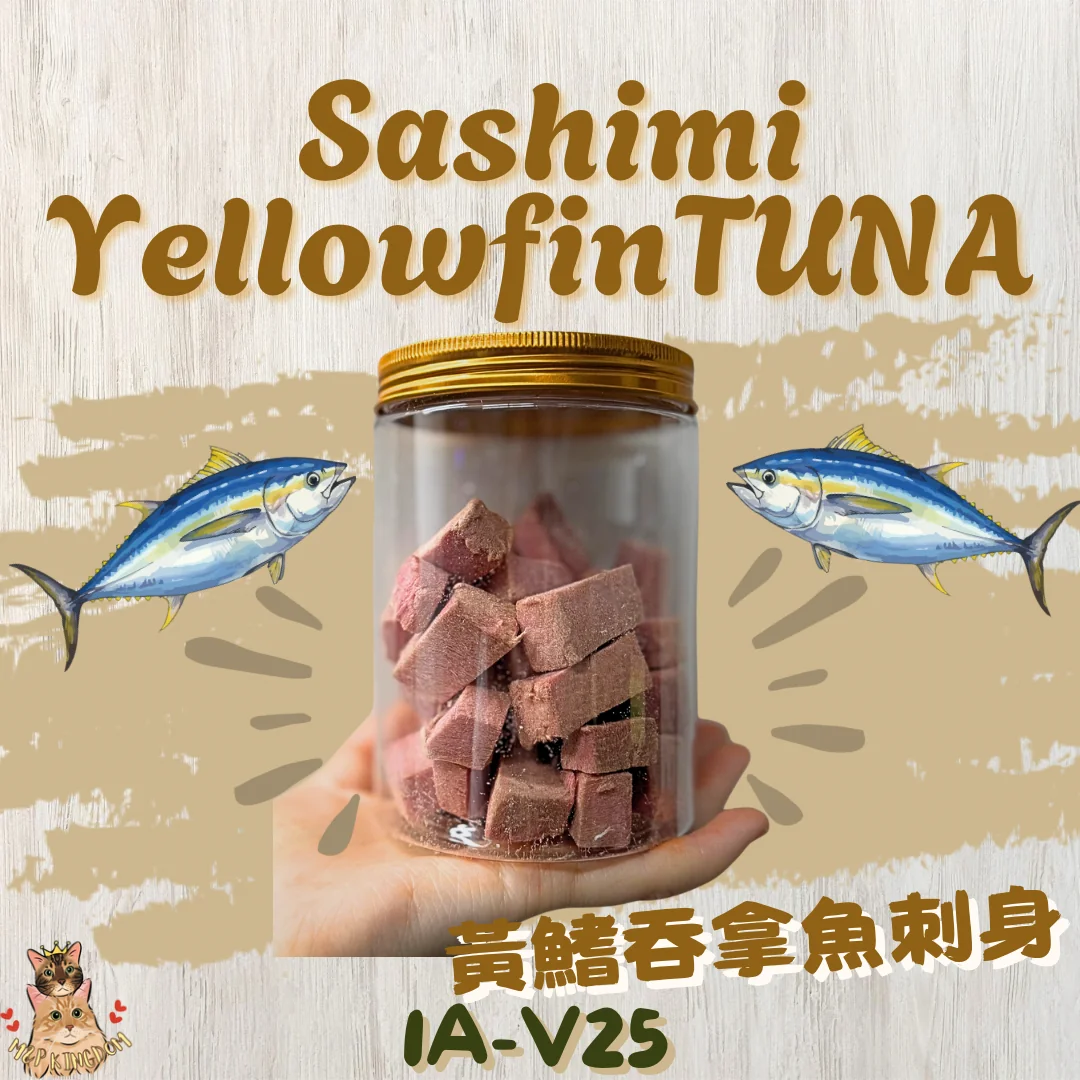 凍乾黃鰭吞拿魚刺身🐟